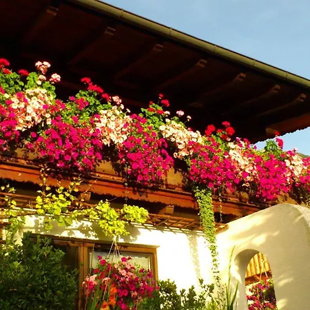Haus Alex *