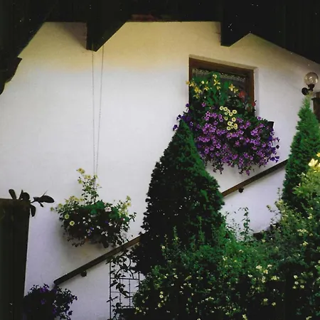 Haus Alex Άχενκιρχ