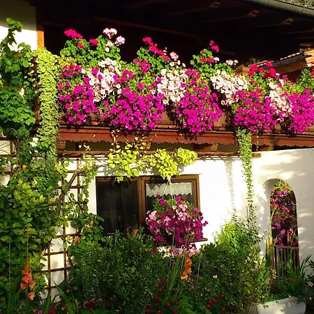 Appartement Haus Alex